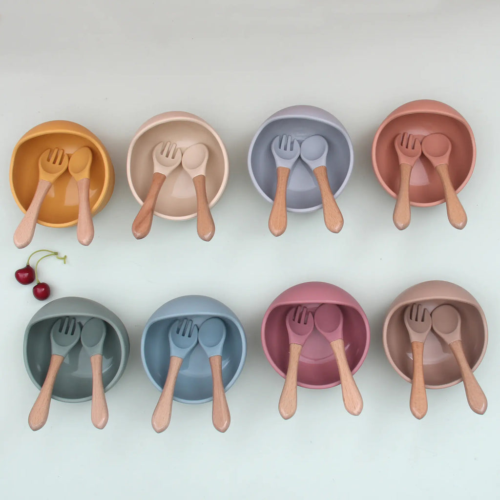 Baby Secure-Eat Silicone Dish Set